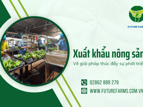 Đâu là những giải pháp giúp thúc đẩy xuất khẩu nông sản năm 2024?