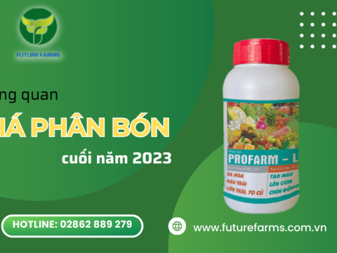 Phân tích tổng quan về giá phân bón thời điểm cuối năm 2023