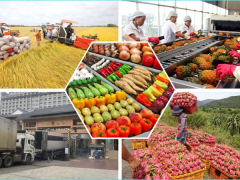 Nông sản Việt sốt giá