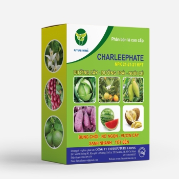 Phân bón Charleephate NPK 21-21-21 KPT