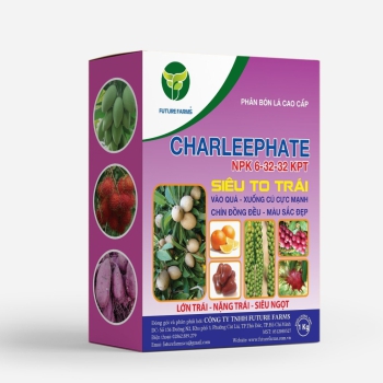 Phân bón Charleephate NPK 6-32-32 KPT
